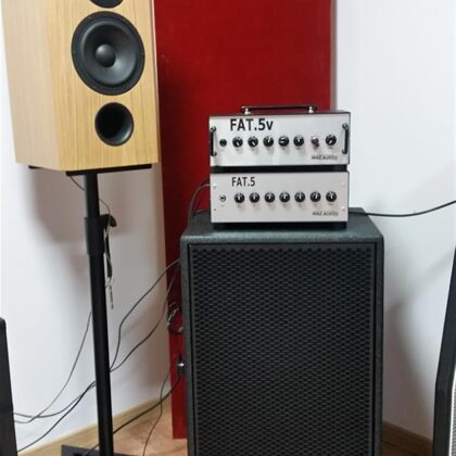 Oomph box, Monitors and 2 of my custom valve amps